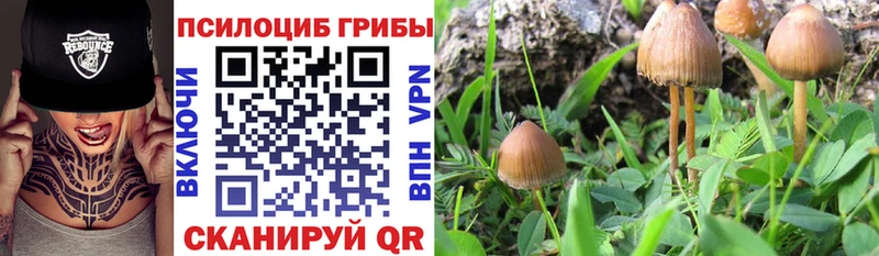 Галлюциногенные грибы Magic Shrooms  Дагестанские Огни 