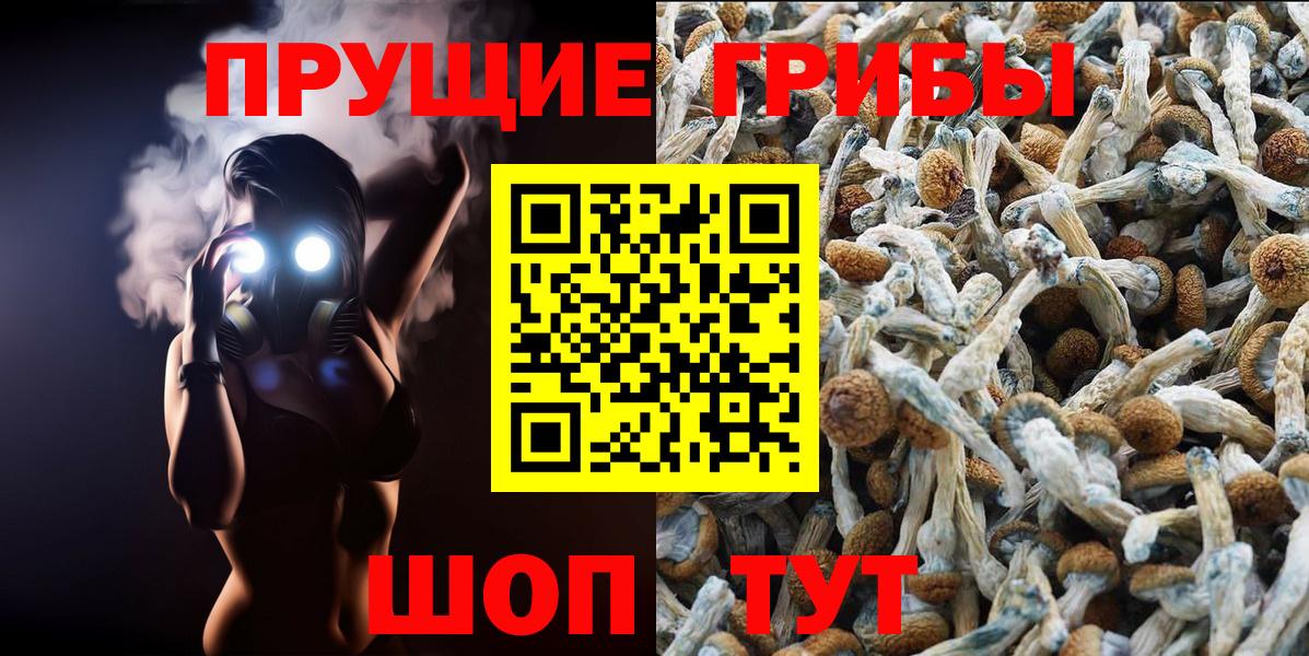 Дагестанские Огни  Псилоцибиновые грибы MAGIC MUSHROOMS  Вход с VPN  Галлюциногенные грибы Magic Shrooms 