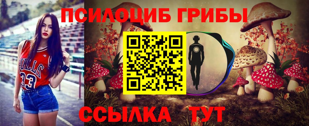 Псилоцибиновые грибы ЛСД Дагестанские Огни